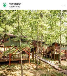 several cabins in the woods with trees and stairs leading up to them, all surrounded by grass