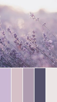 the color palette is lavender and it looks great