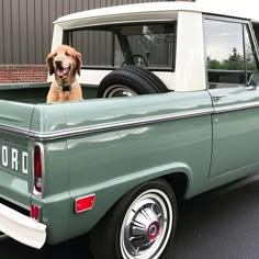 a dog sitting in the back of a green pickup truck