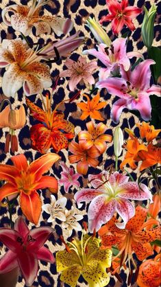 a bunch of flowers that are on a leopard print background