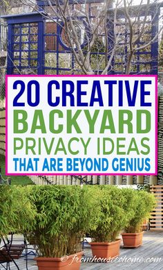 some potted plants with the words 20 creative backyard privacy ideas that are beyond genius