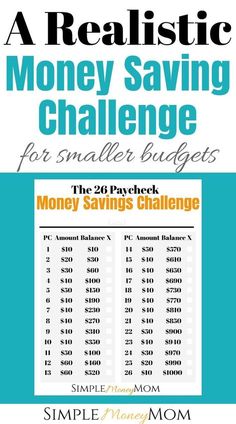 the book cover for a realistic money saving challenge