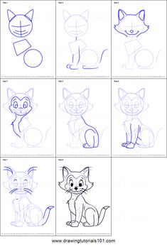 how to draw cartoon animals step by step