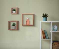 three square wooden frames on the wall with plants and books next to them, along with a clock