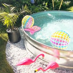 two flamingos are sitting in the middle of a pool