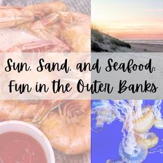 the words sun sand and seafood fun in the outer banks are overlaid with images of sea food