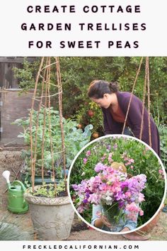 Regardless of whether or not you are growing sweet peas in containers, in-ground, or in raised beds, they will need some support. Today we are going to plant sweet peas in containers using one of my favorite DIY garden trellises! The beauty of this type of trellis is that it uses branches or sticks and some compostable garden twine to create a structure that brings some whimsy and cottage charm to the garden. Trellis Peas, Diy Cottage Garden, Bean Trellis, Diy Cottage, Environmentally Friendly Living, Diy Garden Trellis