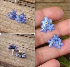 three pictures of tiny blue flowers in someone's hand