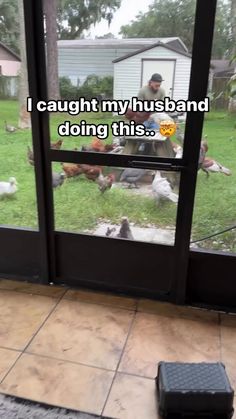 a dog is looking out the front door at some chickens and other animals in the yard