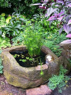 a garden with rocks, plants and water in it