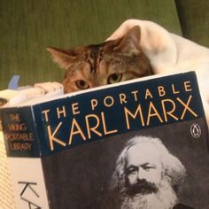 a cat laying on top of a book with an image of karl marx behind it