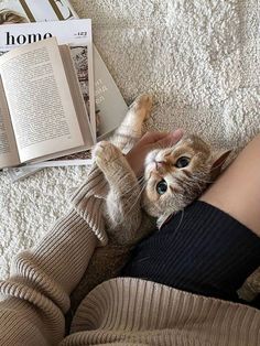 a cat laying on top of a person's legs next to an open book