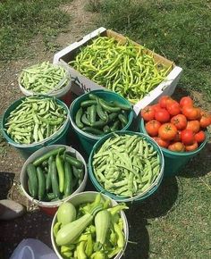 several buckets filled with different types of vegetables sitting on the ground next to each other