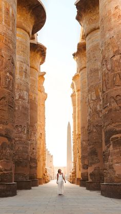 a woman standing in front of an egyptian temple with her back turned to the camera