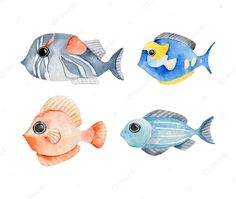 four watercolor fish are shown in three different colors