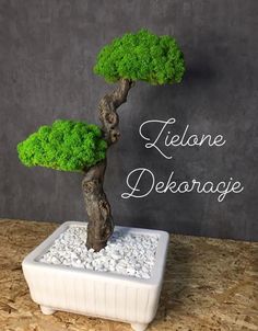 a bonsai tree in a white pot on a table with the words lijeone dekarge above it