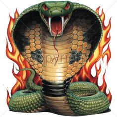 a snake with its mouth open and it's tongue out in front of fire