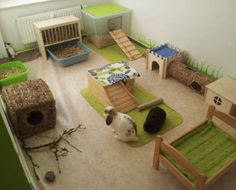 an aerial view of a living room filled with furniture and cat beds in the corner