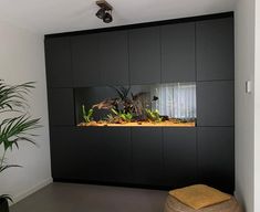 an aquarium in the corner of a room