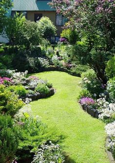 a garden with lots of flowers and trees