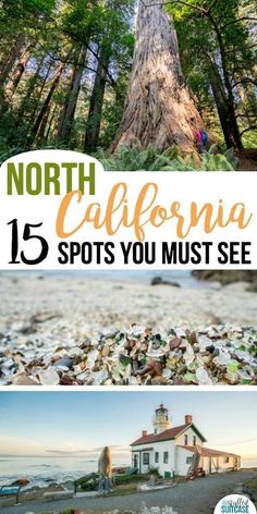 the top five spots you must see in north california