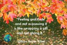 an autumn tree with leaves and a quote about feeling grateful and not expressing it is like wrapping a gift and not giving it