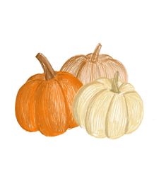 three colored pumpkins sitting next to each other