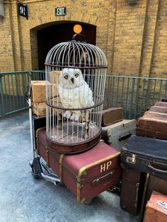 an owl in a cage sitting on top of luggage