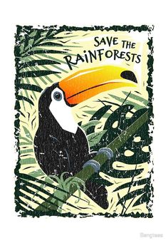 a toucan bird with the words save the rainforests