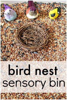 birds nest with the words bird nest sensory bin in front of it and two small birds