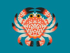 an orange and white crab on a blue background