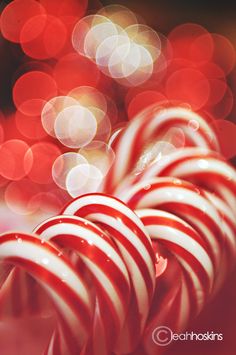 red and white candy canes with blurry lights in the backgrounnd