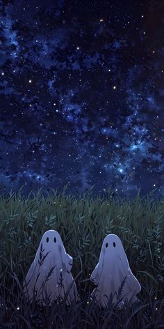 two ghost heads sitting in the grass under a night sky filled with stars and clouds