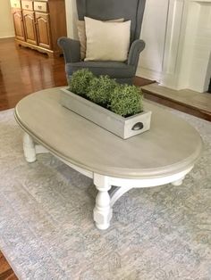 a living room with a chair, coffee table and potted plant on the rug