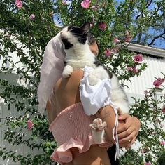 a woman holding a black and white cat in her arms while wearing a pink dress