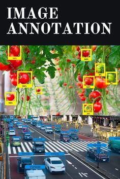 an image of cars driving down the road with tomatoes growing on them and green plants hanging from the trees