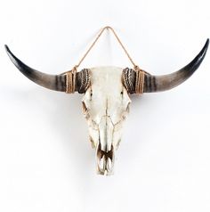 an animal's skull is hanging on a white wall with rope around its neck