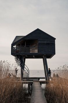 a house on stilts in the middle of tall grass with a dock leading to it