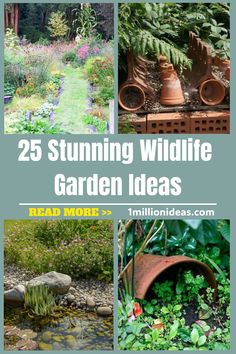 the cover of 25 stunning wildife garden ideas, including water features and plants in pots