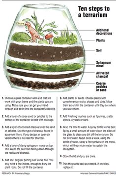 a diagram showing how to build a terrarium with plants and dirt in the bottom