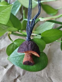 Mushroom pendant necklace carved from an avocado pit and sealed with tung oil. 16 " hemp cord necklace. Hemp Cord Necklace, Avocado Pit, Mushroom Pendant, Tung Oil, Hemp Cord, Cord Necklace, Pendant Necklaces, Favorite Jewelry, Jewelry Necklace Pendant