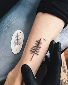 a person with a tree tattoo on their arm