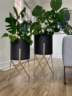 two planters with plants in them sitting next to each other on a wooden floor