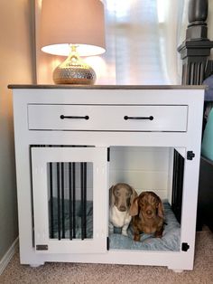 two dogs are sitting in their kennels on the floor next to a lamp