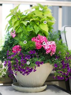 a potted plant sitting on top of a table filled with purple and green flowers