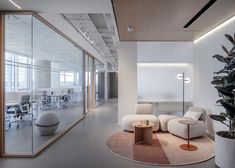 an office with white chairs and plants in the corner, along with large glass windows