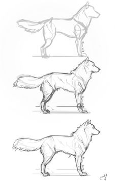 three different types of dogs are shown in this drawing lesson for beginners to learn how to