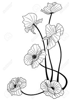 an ink drawing of three flowers on a vine with leaves and stems in black and white