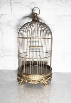 a birdcage sitting on top of a white counter