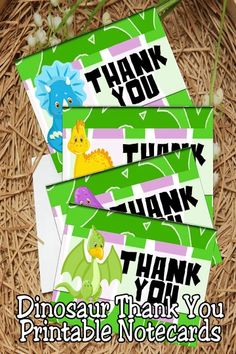 dinosaur thank you note cards in a basket